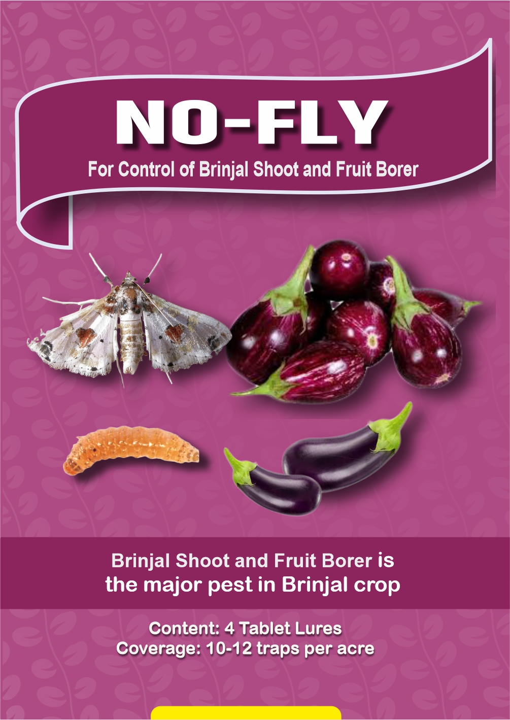 4.1 Final brinjal